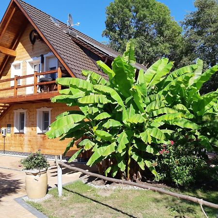 Salus Spreewald - Erholung & Natur - Kolonie  Zewnętrze zdjęcie