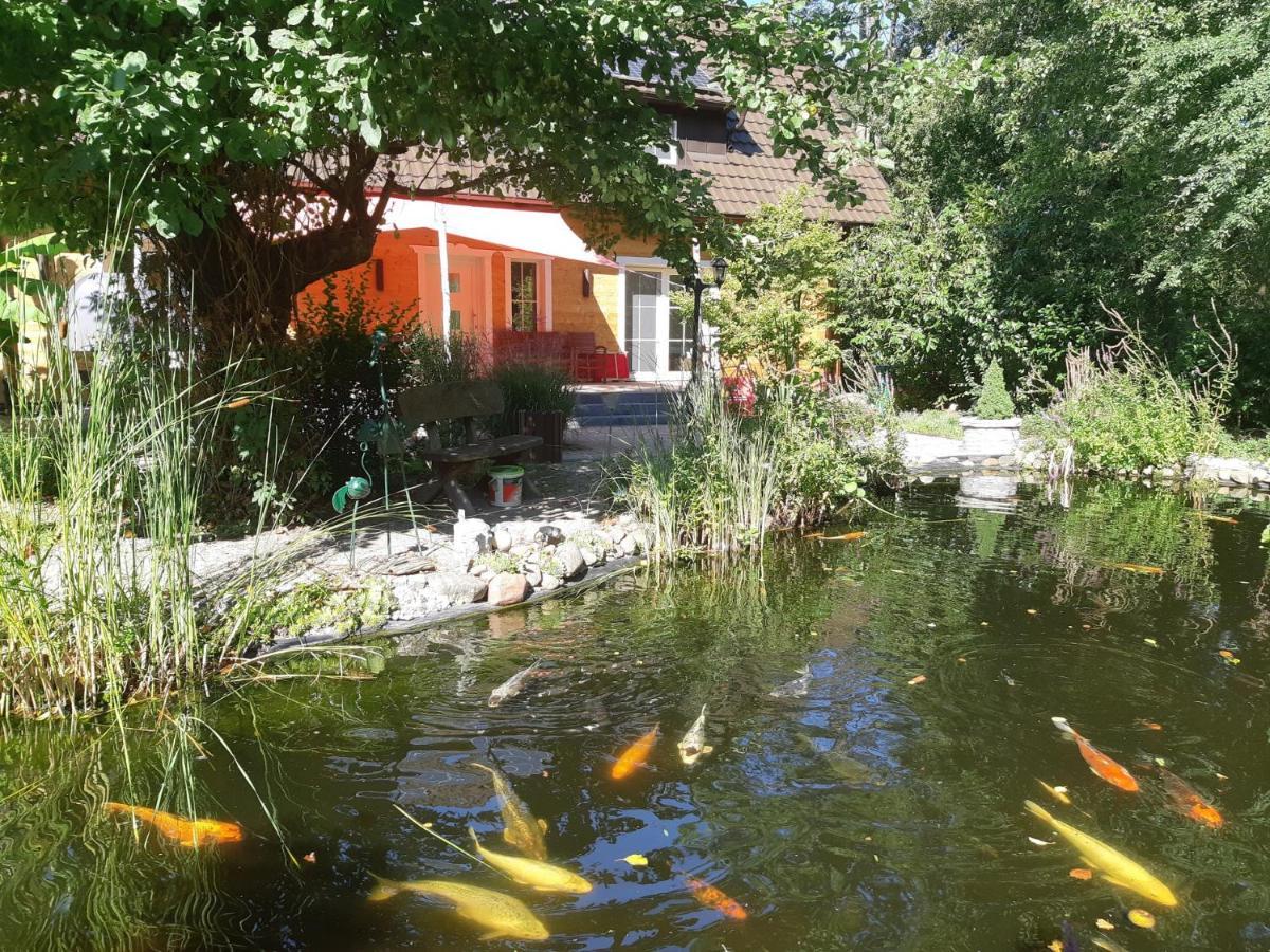 Salus Spreewald - Erholung & Natur - Kolonie  Zewnętrze zdjęcie